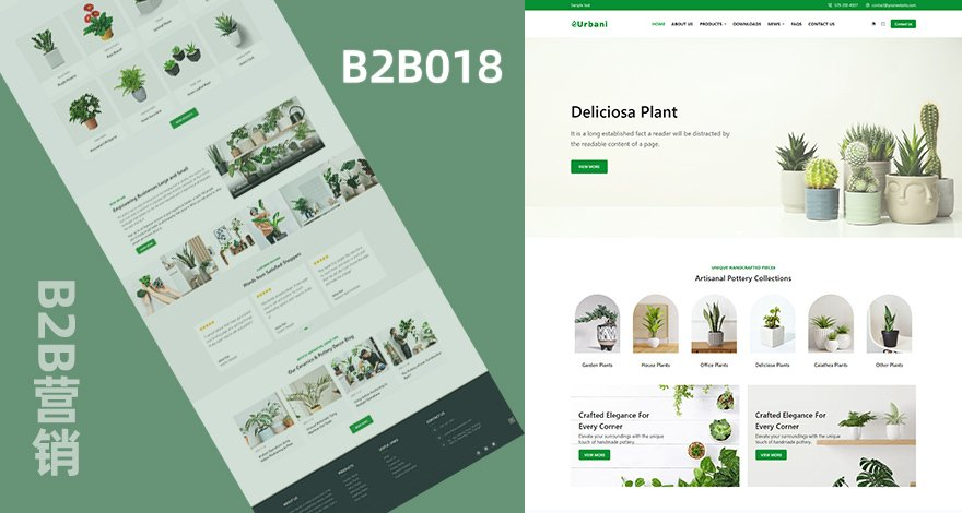 B2B官网|多肉绿植花园产品营销独立站一站式服务