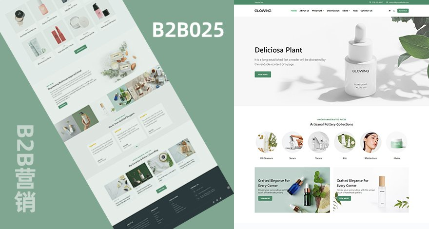 B2B|美容护肤用品营销模板|企业官网模板